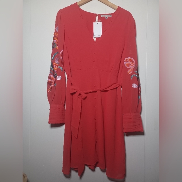 Chic Red Embroidered Mini Dress - Picture 1 of 11